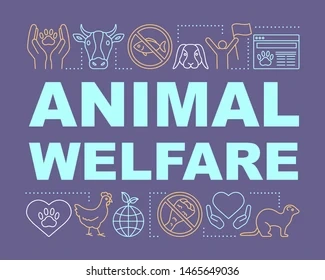 BEST ANIMAL WELFARE ORGANIZATION